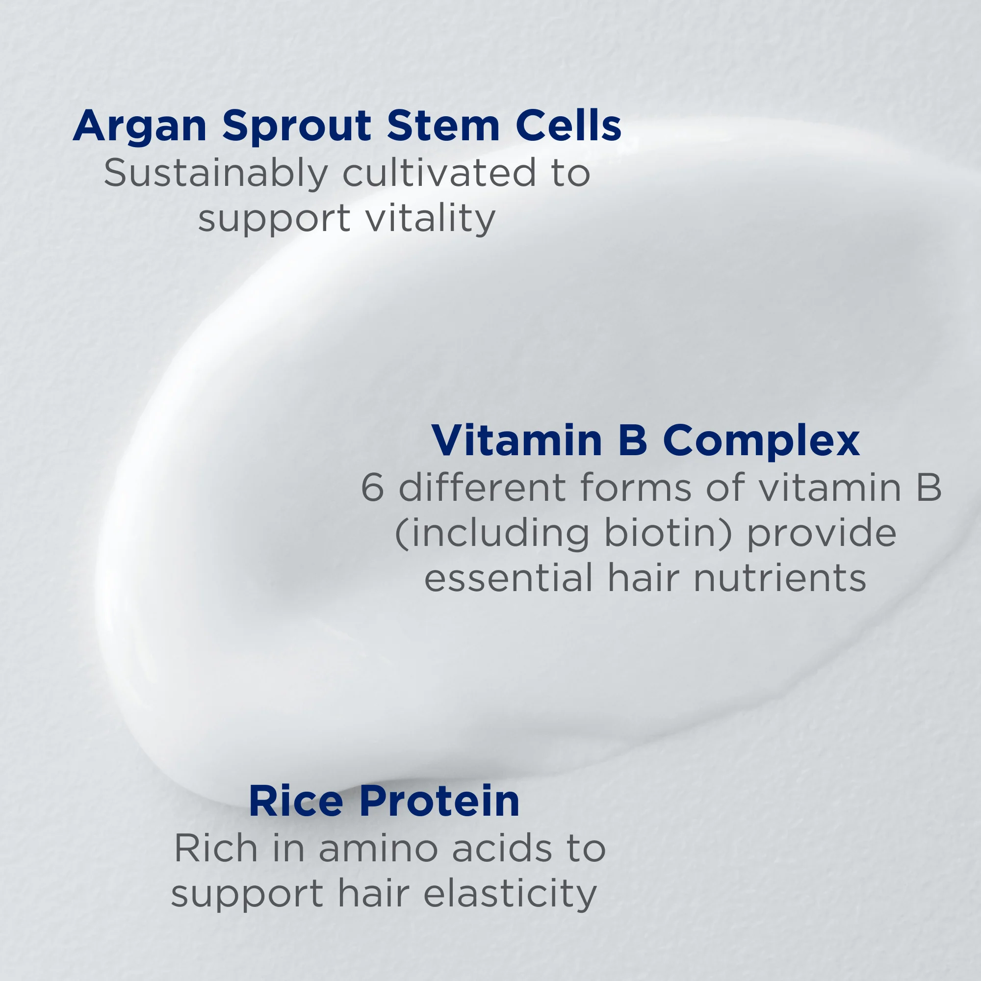 Argan Stem Cell Age Defying Conditioner - Image 4