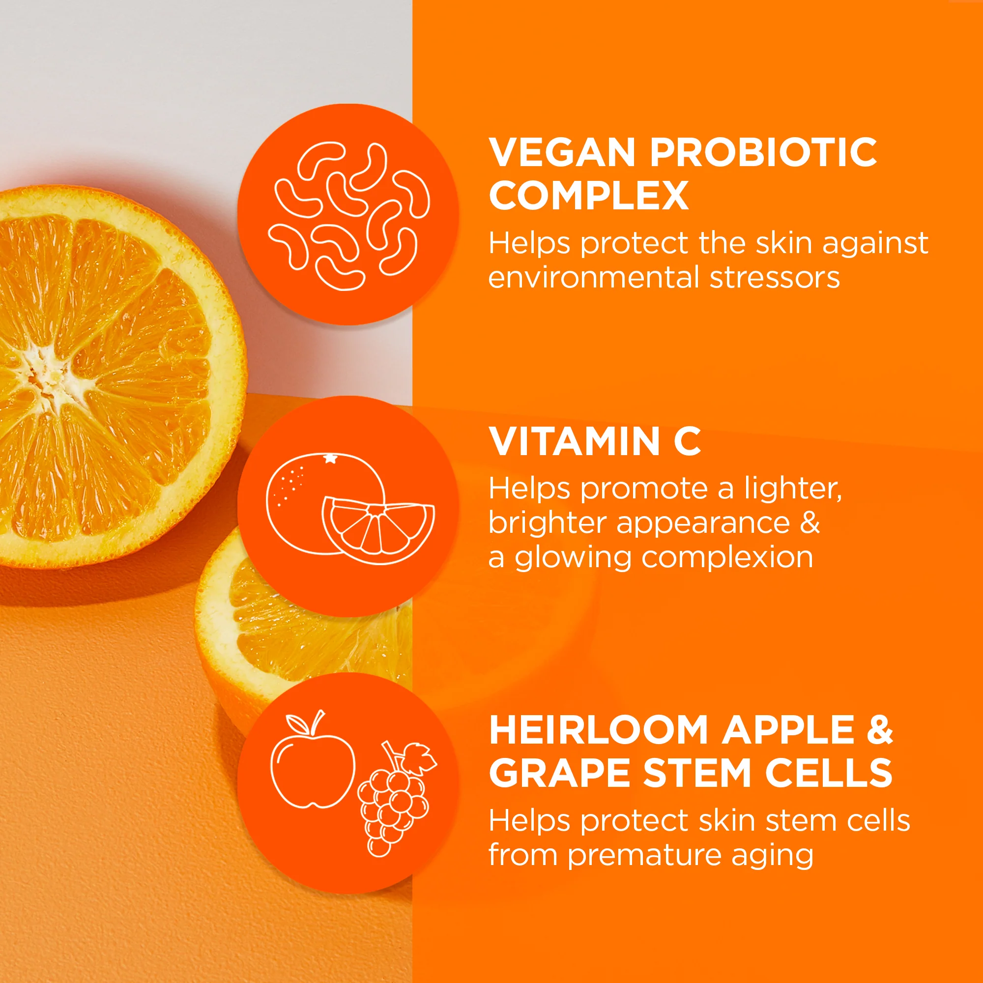 Brightening Probiotic + Vitamin C Renewal Cream - Image 3