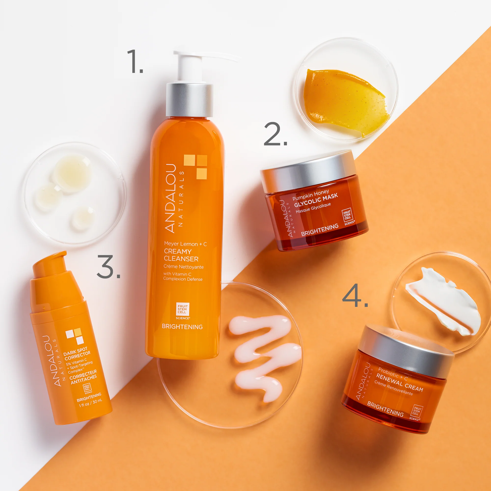 Brightening Probiotic + Vitamin C Renewal Cream - Image 4