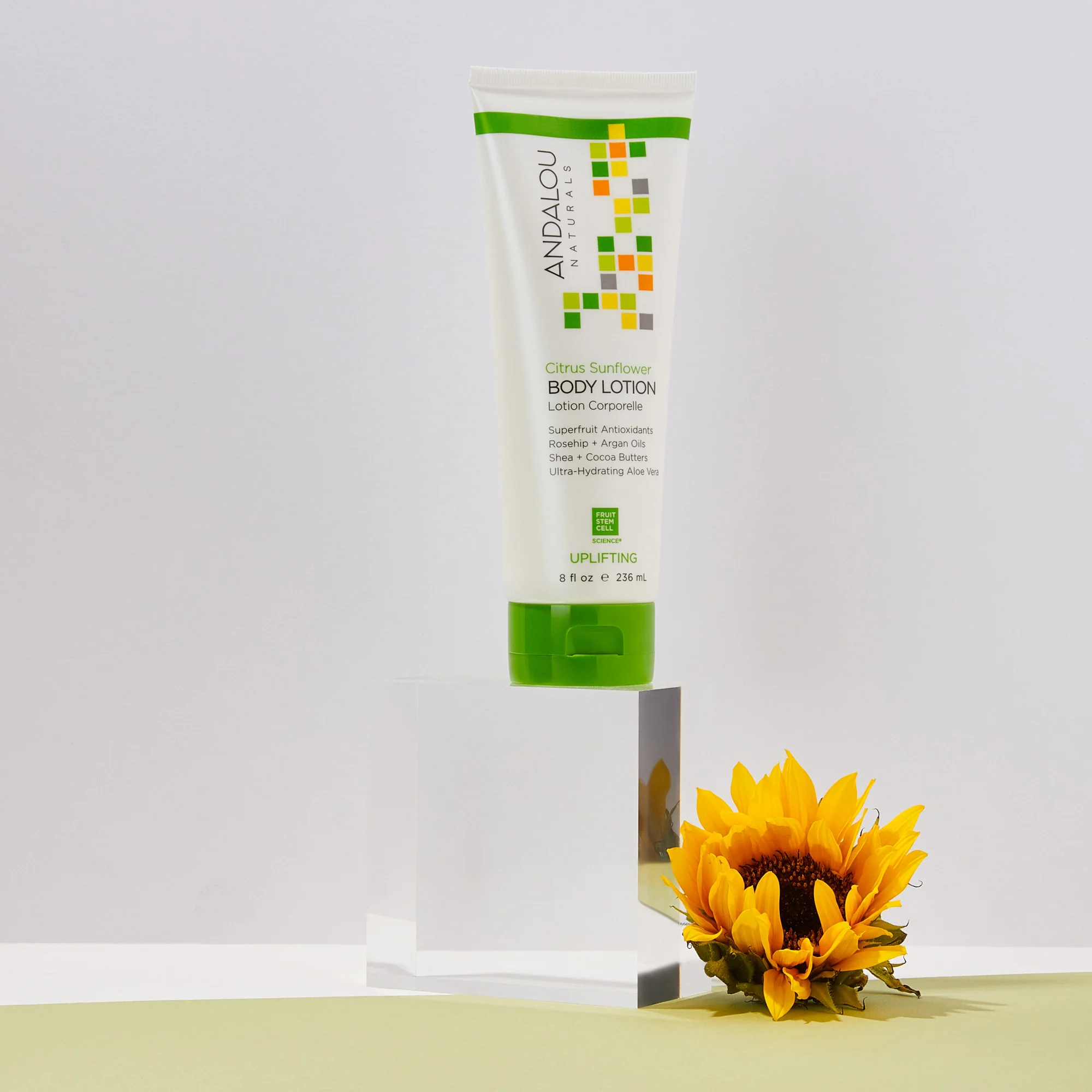 Citrus Sunflower Uplifting Body Lotion - Image 4