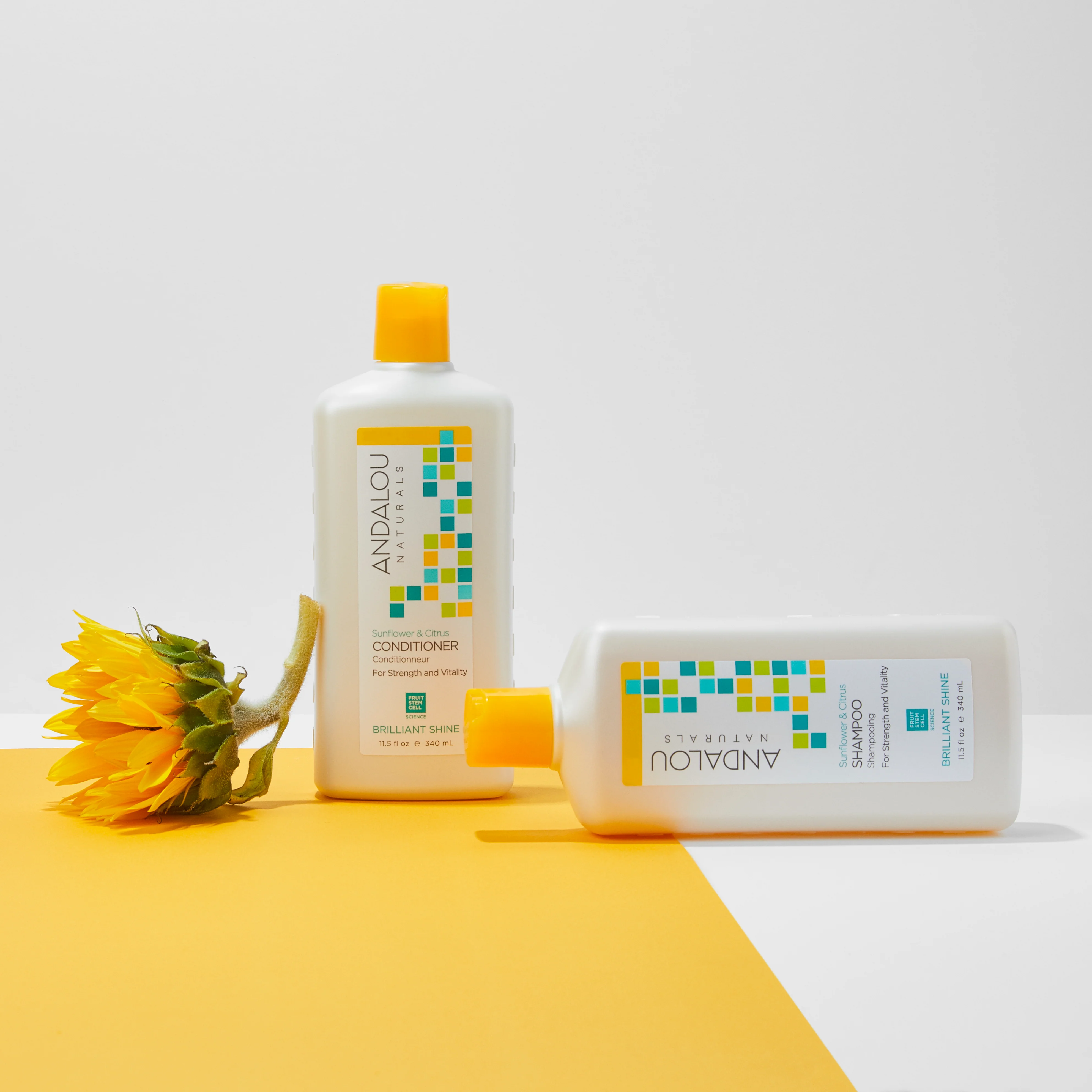 Sunflower & Citrus Brilliant Shine Shampoo - Image 5